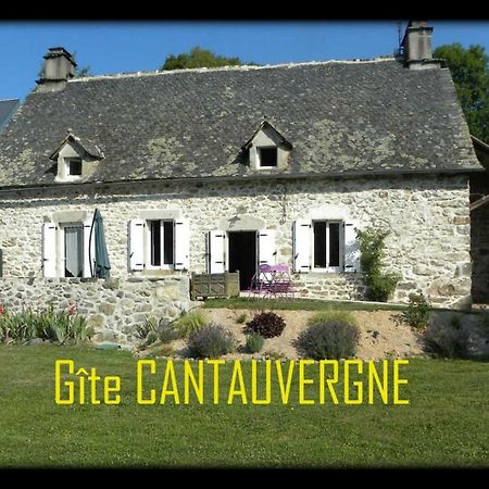 Vila Gite Cantauvergne Vebret Exteriér fotografie