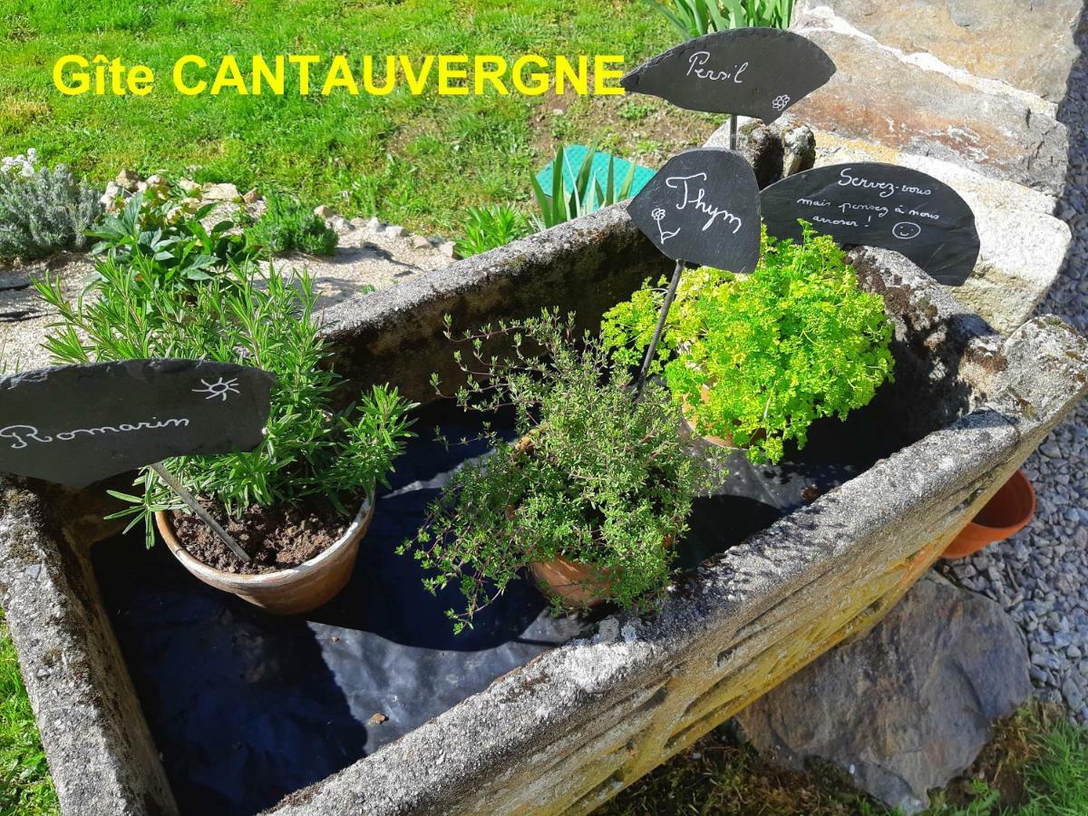 Vila Gite Cantauvergne Vebret Exteriér fotografie